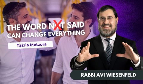 Copy of Parcsha Video Cover