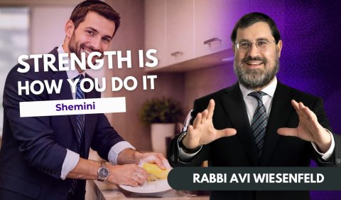 Copy of Parsha Videco Cover