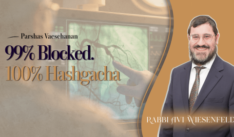 Copy of Parsha Video Cover (1) (3)
