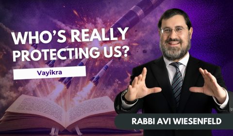 Copy of Parsha Video Cover (1)