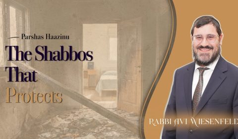 Copy of Parsha Video Cover (1)