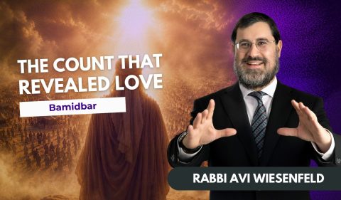 Copy of Parsha Video Cover (2)