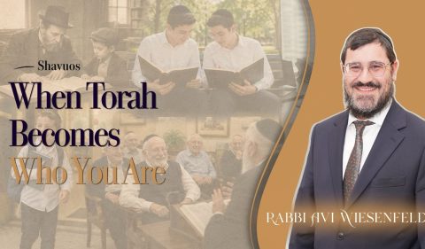 Copy of Parsha Video Cover (3)