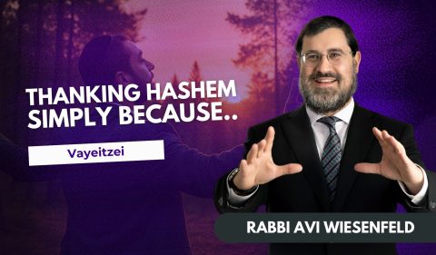 Copy of Parsha Video Cover (5)