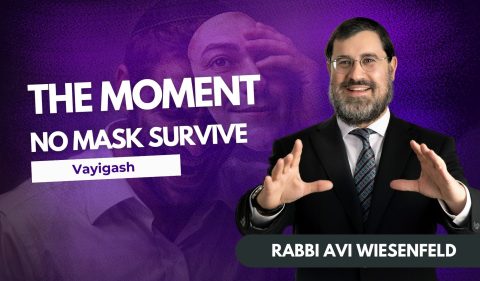 Copy of Parsha Video Cover (6)