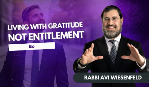 Copy of Parsha Video Cover (6)