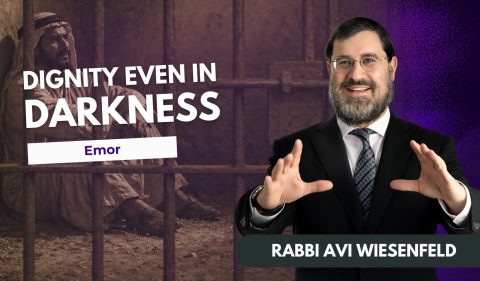 Copy of Parsha Video Cover (7)