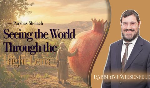 Copy of Parsha Video Cover.jpg