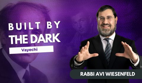 Copy of Parsha Vidseo Cover