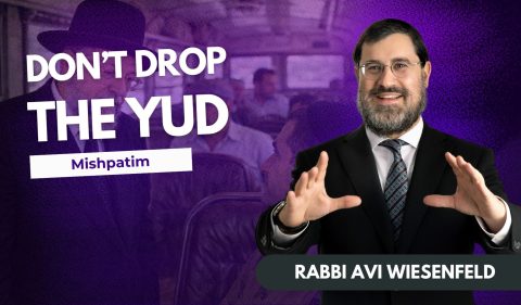 Copy of Parsha Vidxeo Cover