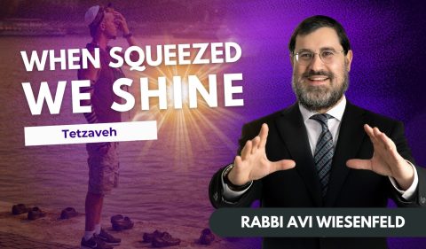 Copy of Parsha Vijdeo Cover