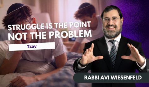 Copy of Parsha ideo Cover