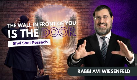 Copy of Parshsa Video Cover