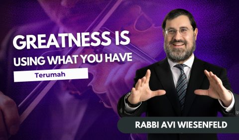 Copy of Pawrsha Video Cover