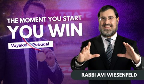 Copy osf Parsha Video Cover