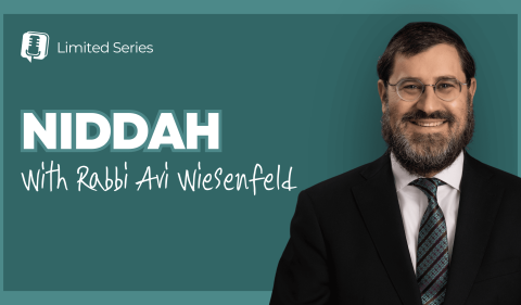 RAW YouTube Cover (2560 x 1440 px) (5)