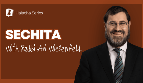 RAW YouTube Cover (2560 x 1440 px) (5)