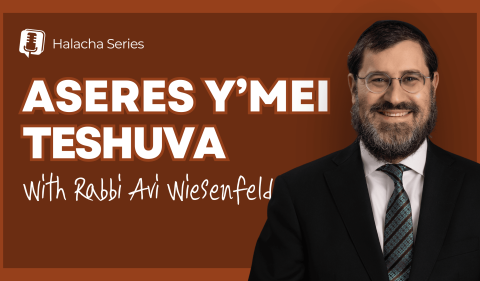 RAW YouTube Cover - Aseres Y'mei Teshuva