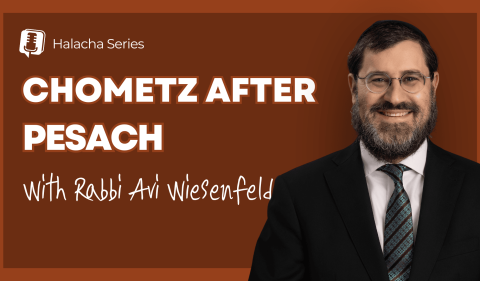 RAW YouTube Cover - Chometz After Pesach