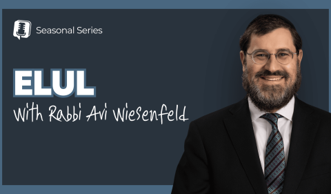 RAW YouTube Cover - Elul