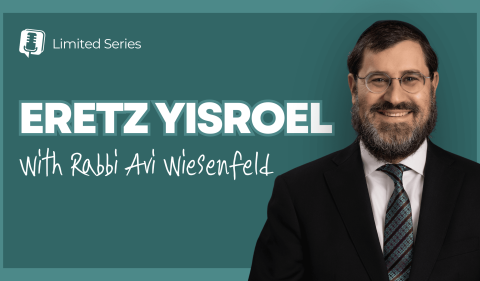 RAW YouTube Cover - Eretz Yisroel