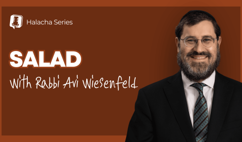 RAW YouTube Cover - Salad