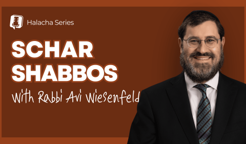 RAW YouTube Cover - Schar Shabbos
