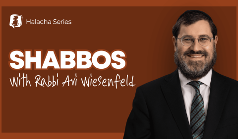 RAW YouTube Cover - Shabbos