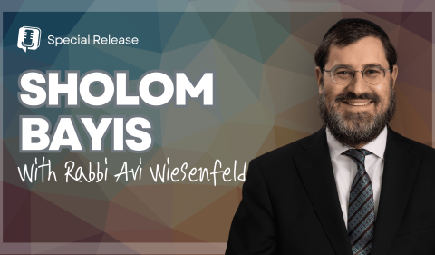 RAW YouTube Cover - Sholom Bayis