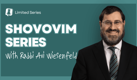 RAW YouTube Cover - Shovovim Series