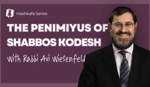 RAW YouTube Cover - The Penimiyus of Shabbos Kodesh