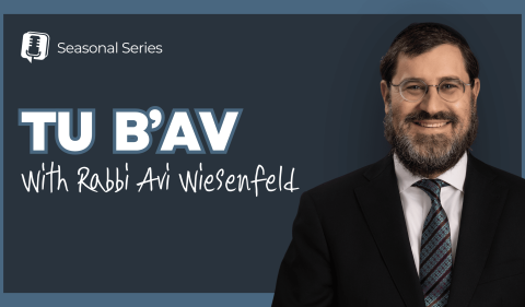 RAW YouTube Cover - Tu B'av
