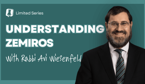 RAW YouTube Cover - Understanding Zemiros