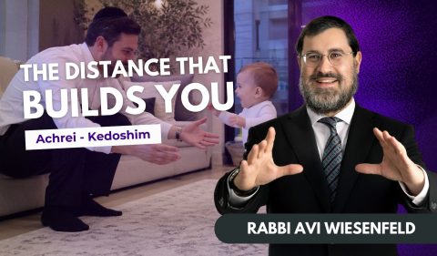 ach of Parsha Video Cover